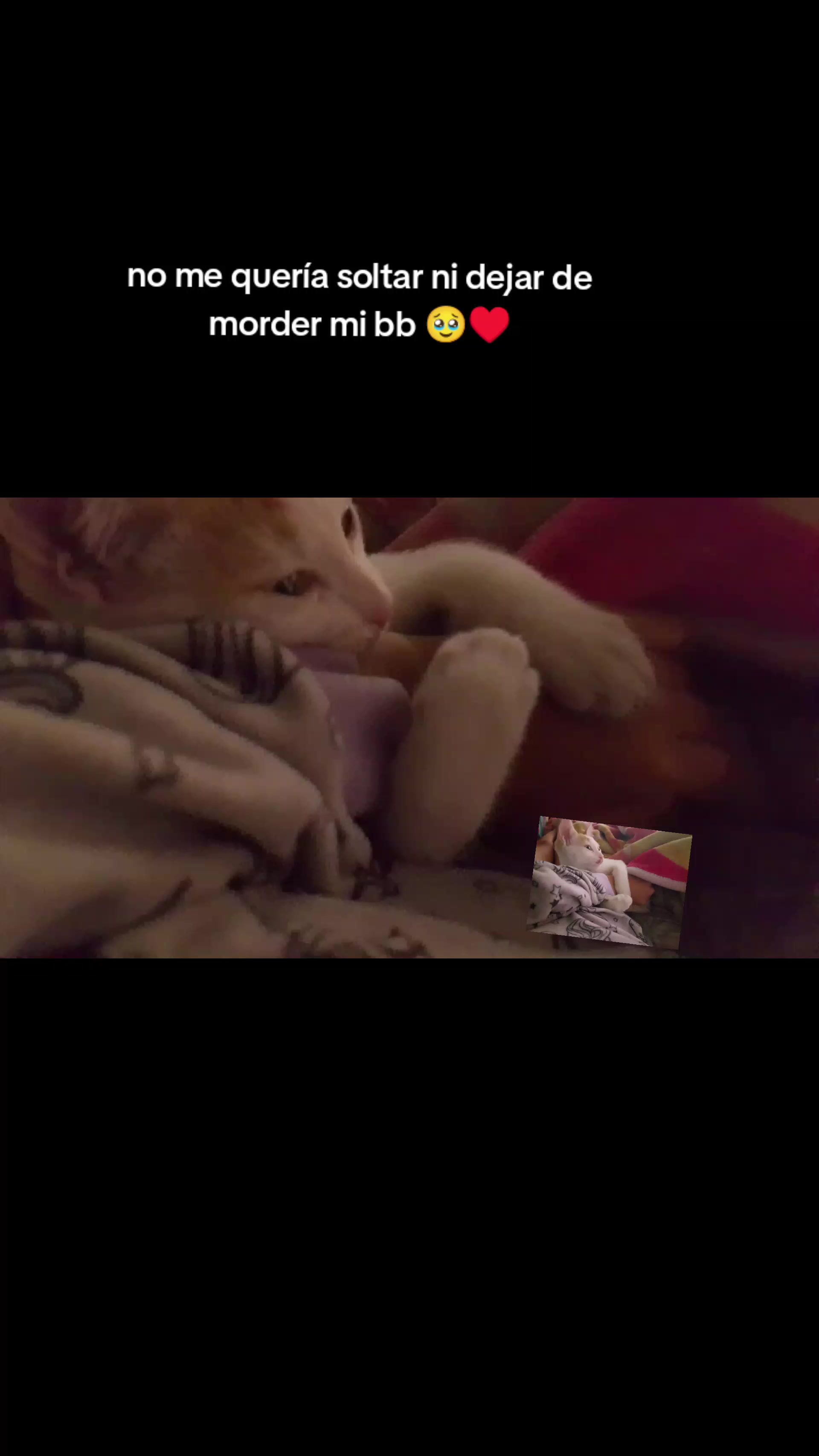 @MRHA♥️
