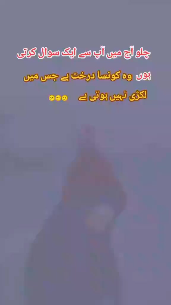 @🥀🥀پاگل لڑکی 🥀🥀