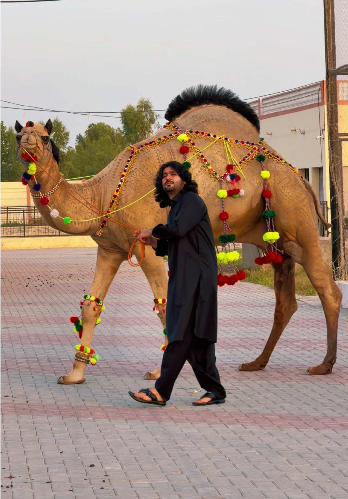 @Zeeshan Rokhri