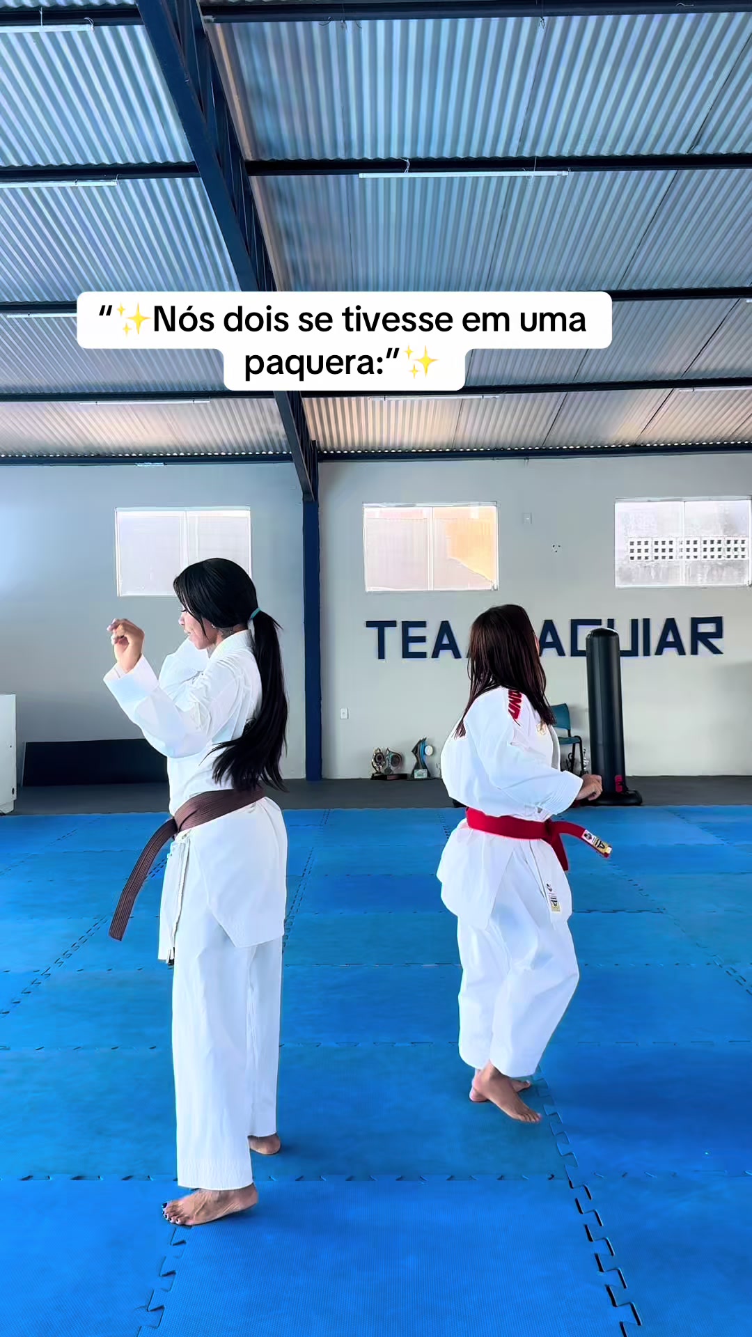 @diario.da.karateca
