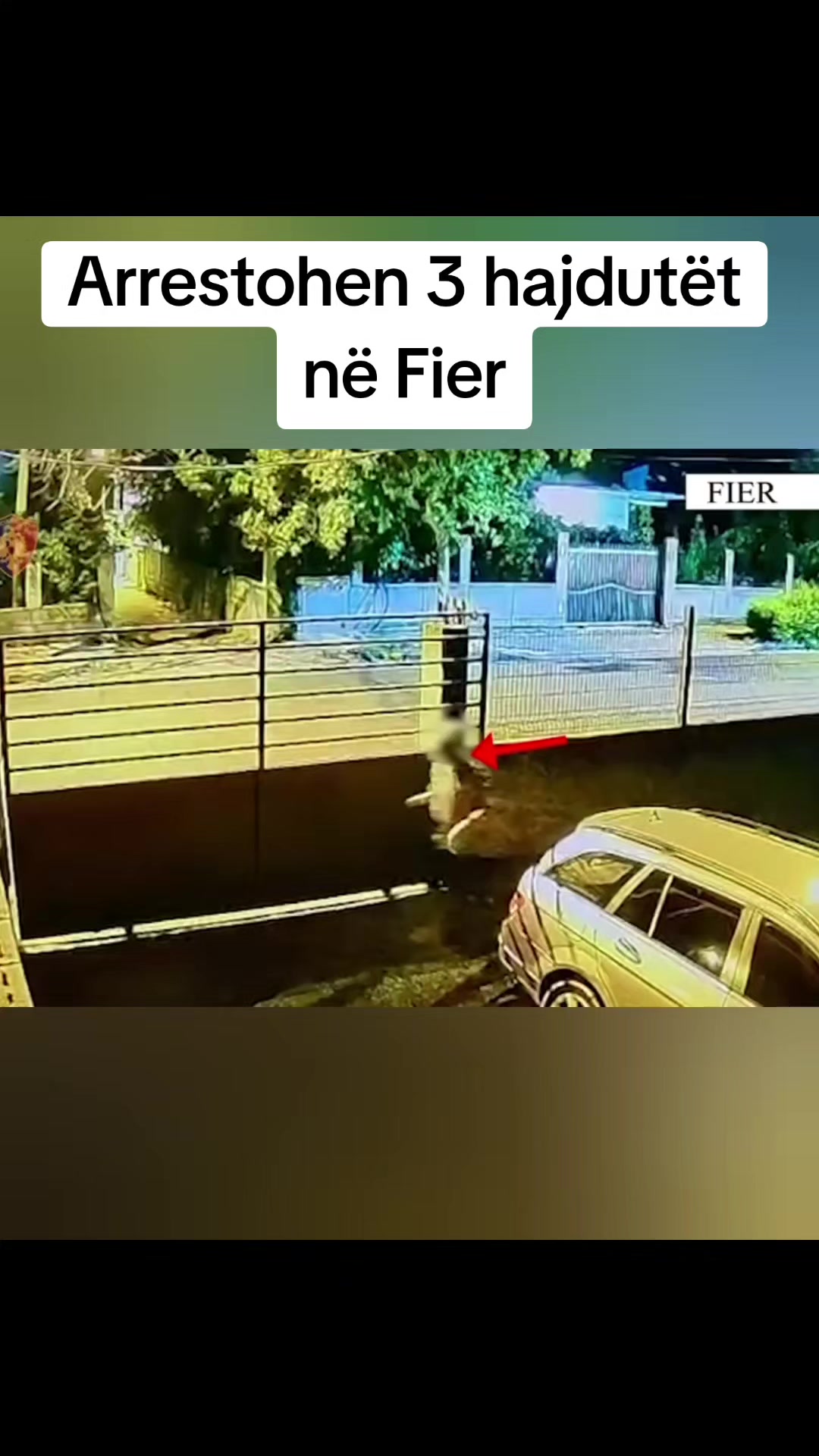 @Fieri Sot