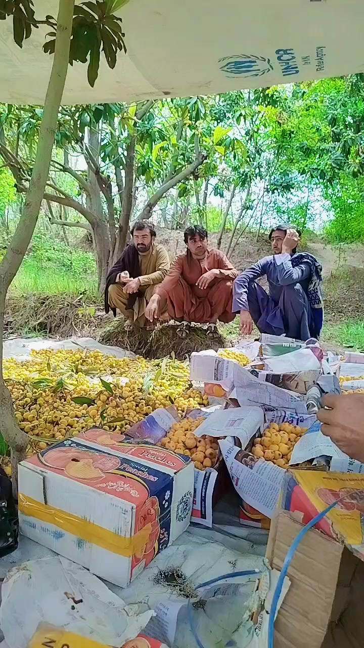@Sorab khan
