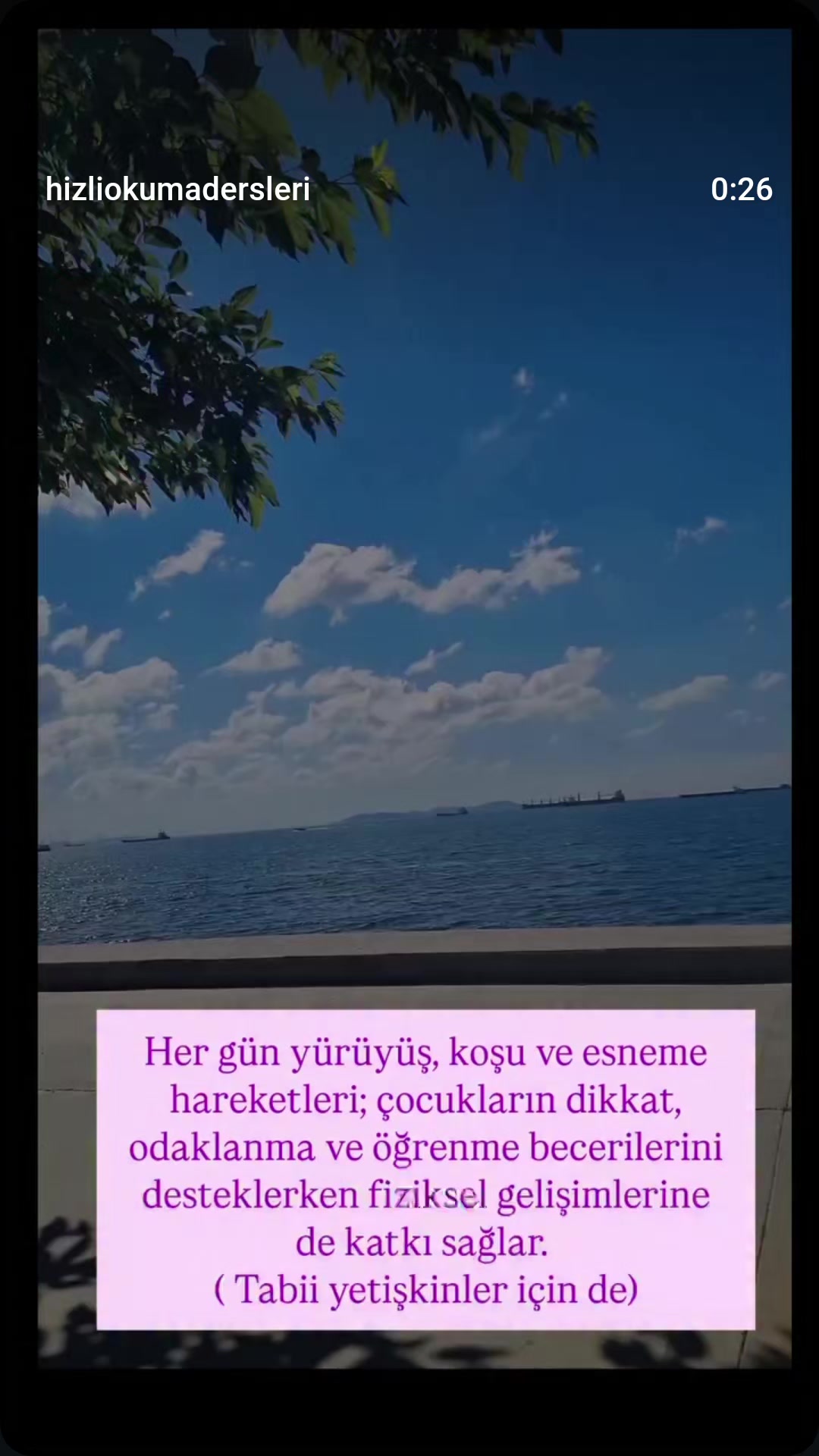 @Anlayarak Hızlı Okuma Becerisi