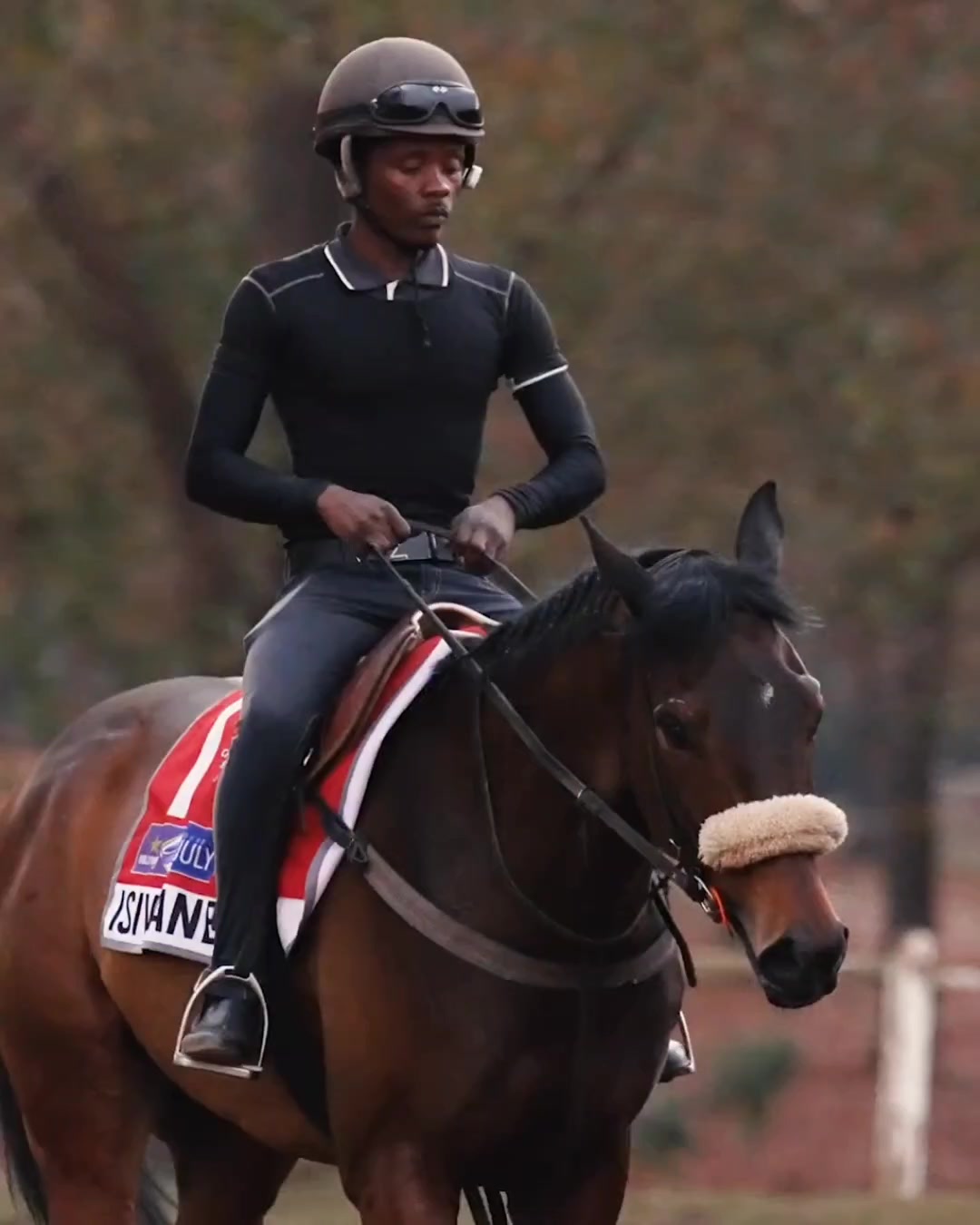 @Gallop TV