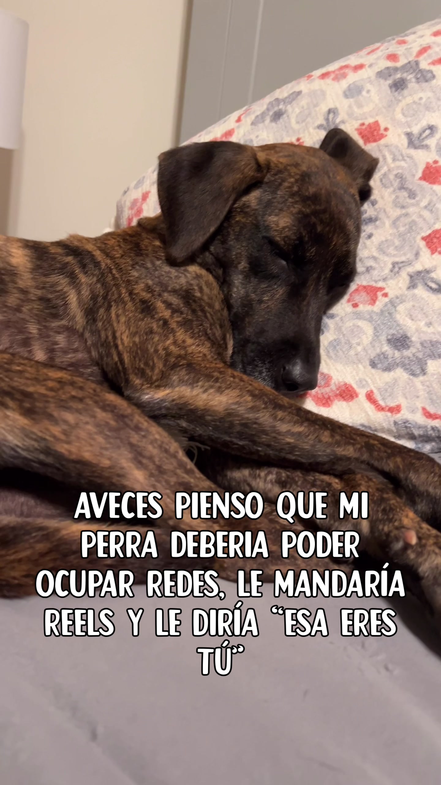 @Paula S