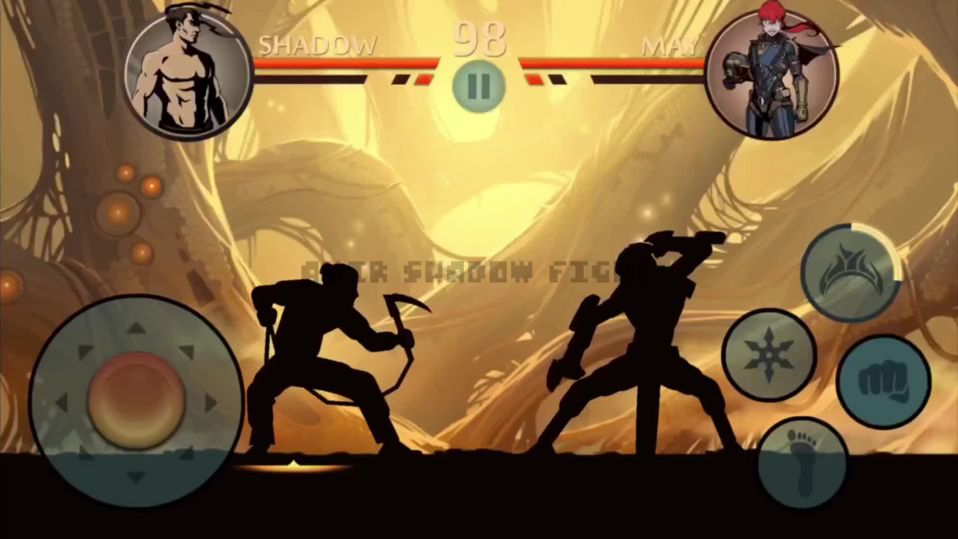 @Amir Shadow Fight