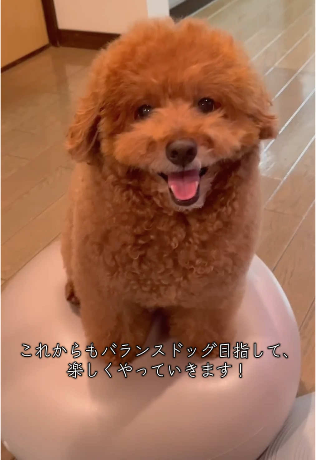@セレブリティー