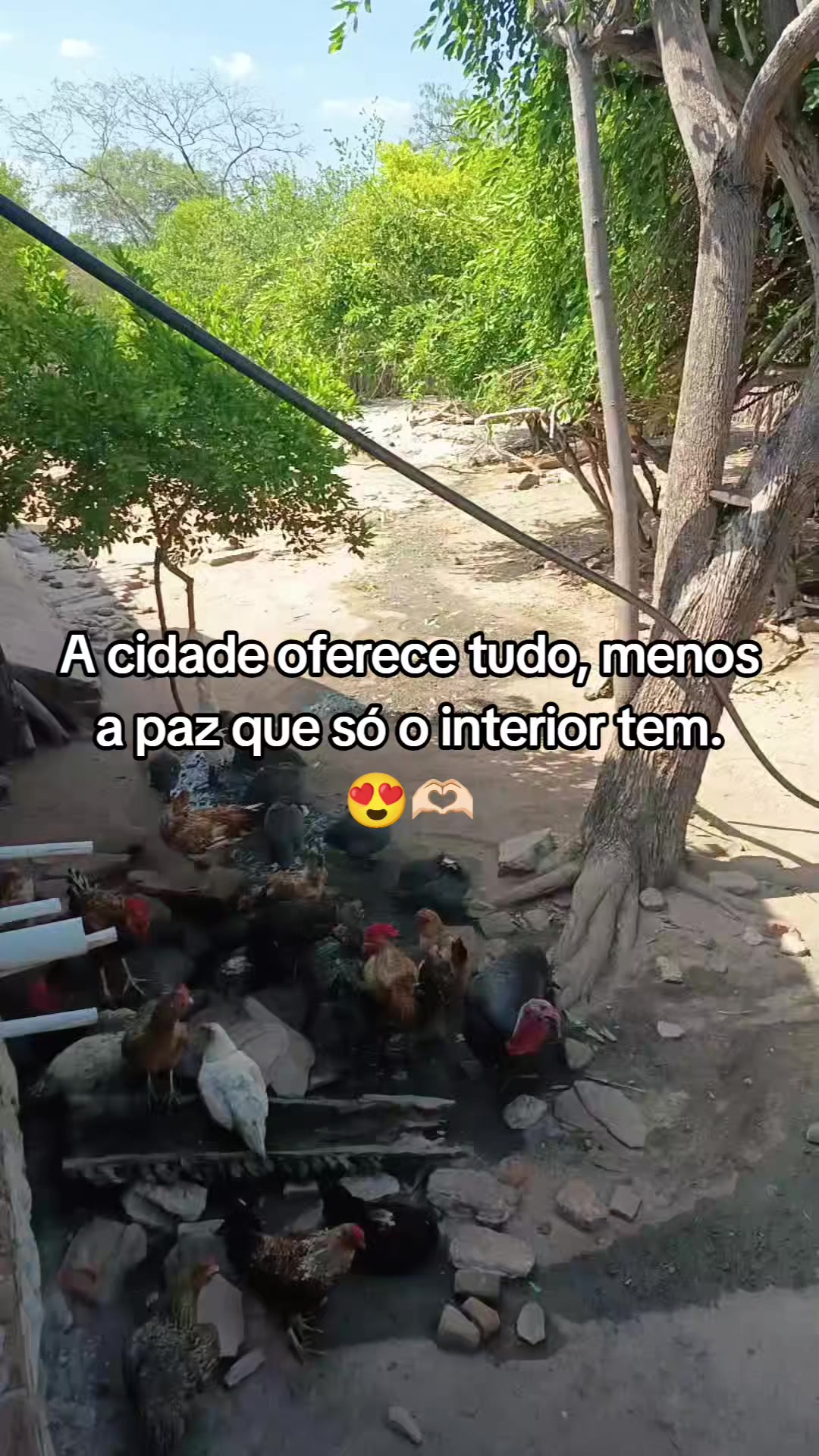 @Fran 🍒