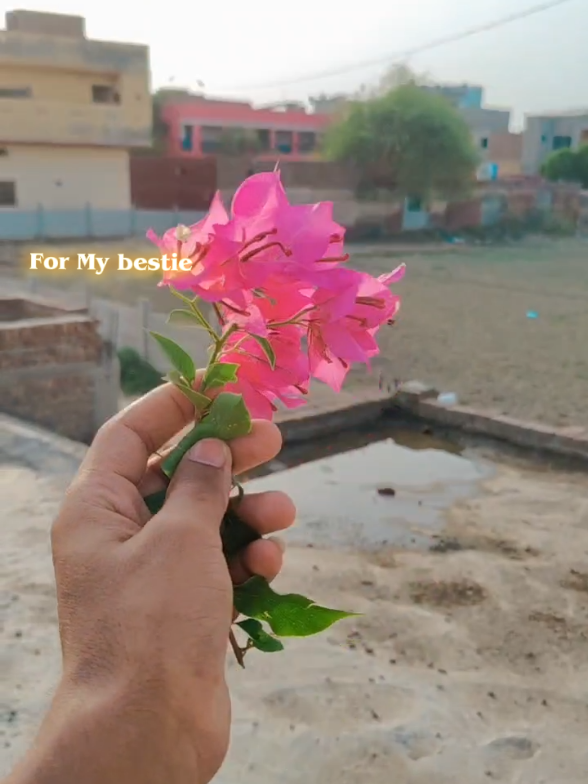 @Hsnvloger786