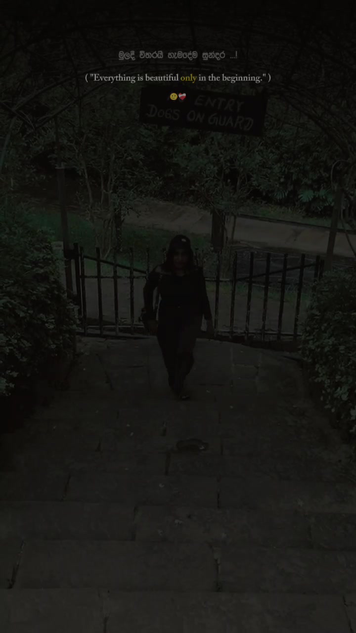 @N 🕊️🥀🍃