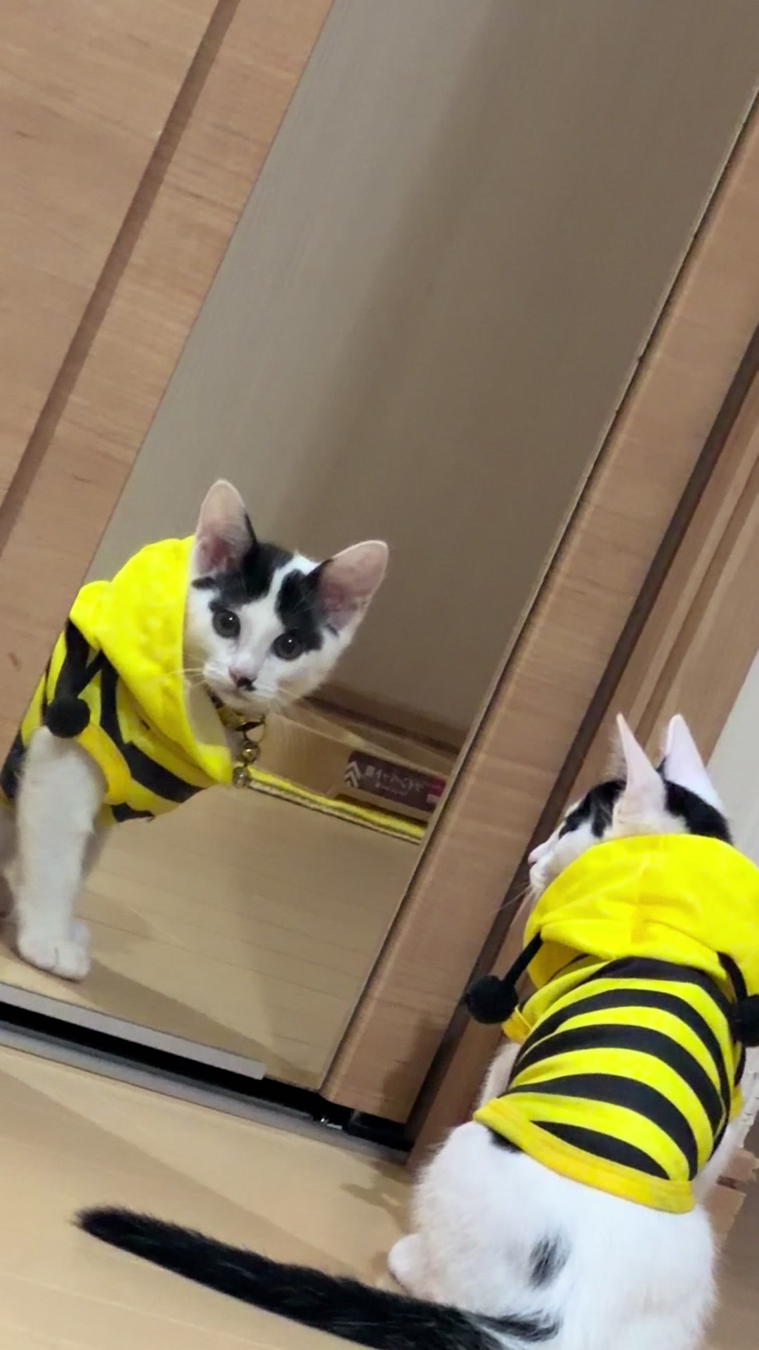 @らんた