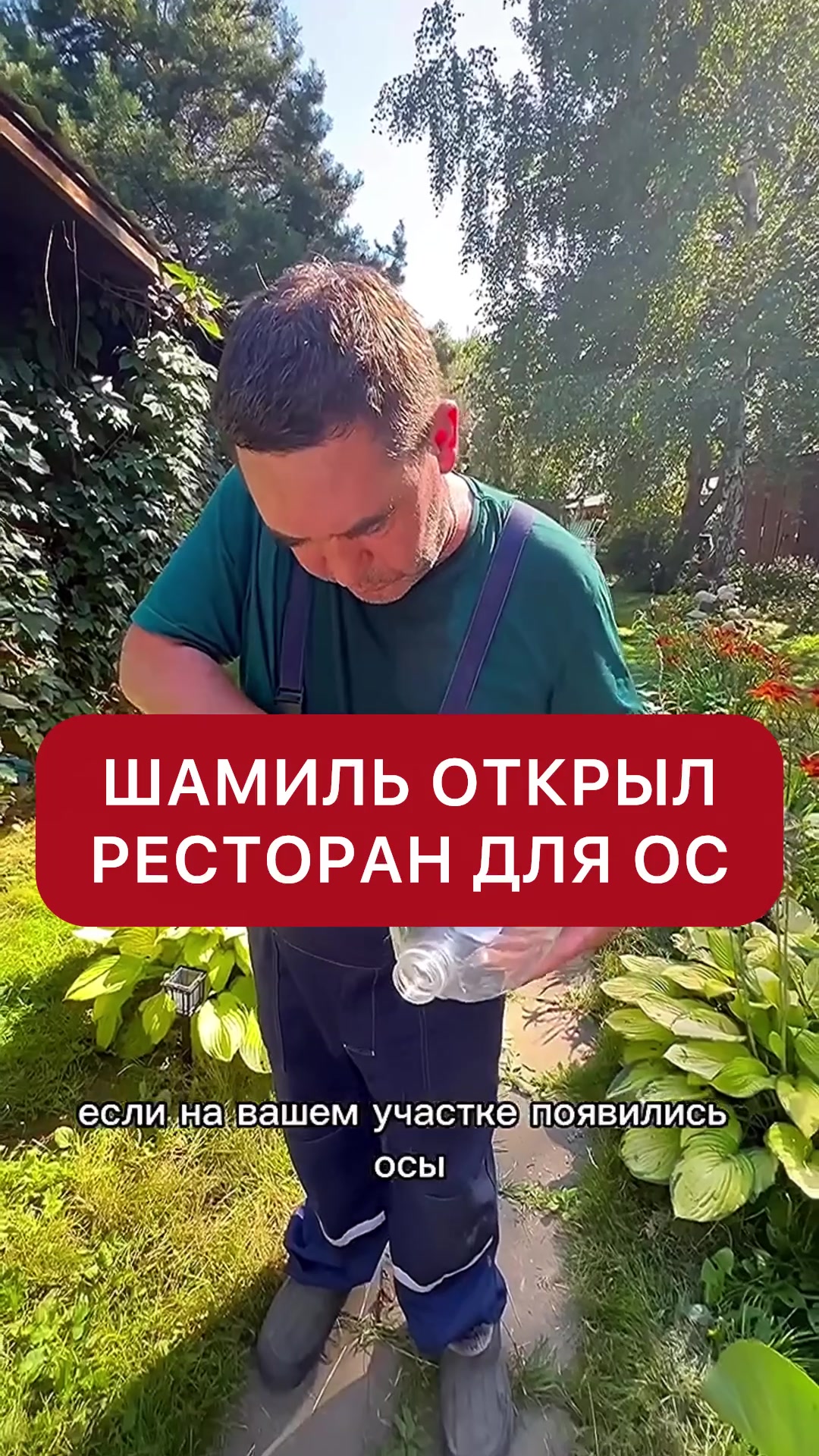 @dom_rustaevy