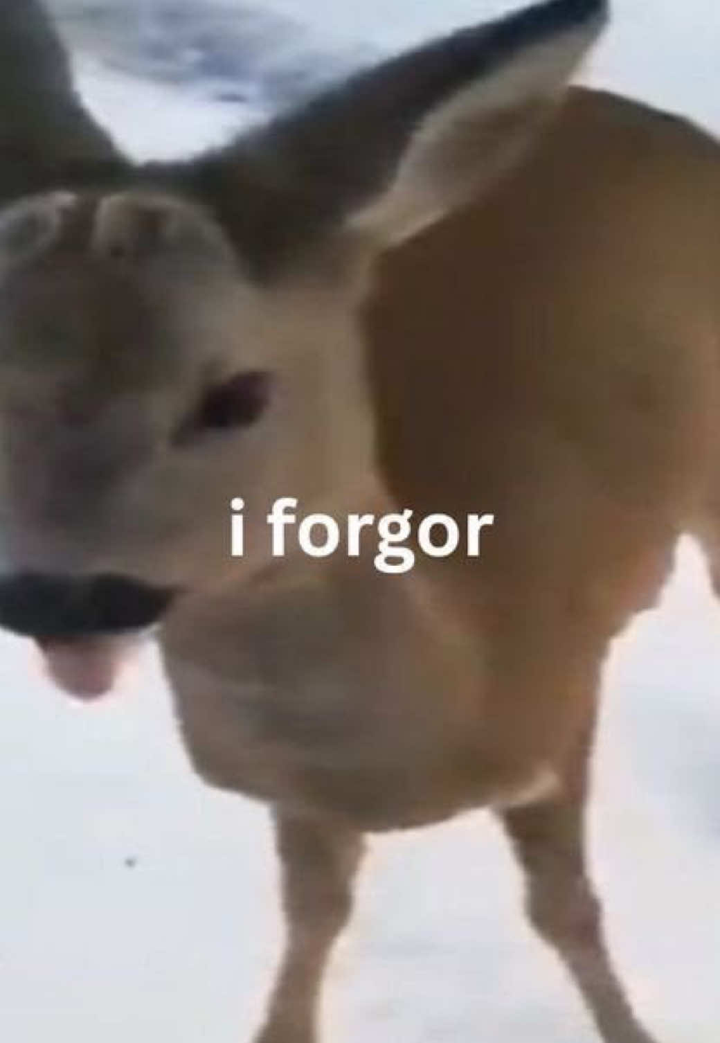 @𝐡𝐮𝐧𝐭𝐞𝐫 ˙𐃷˙