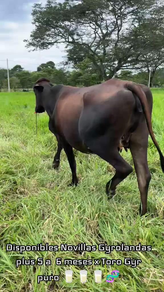 @gonzalezpaezjimmy