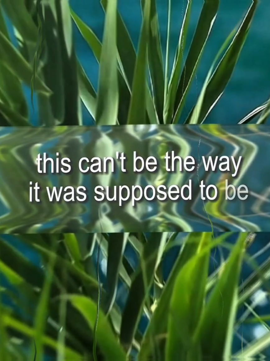 @๐ซ๐๐๐๐ ๐๐๐