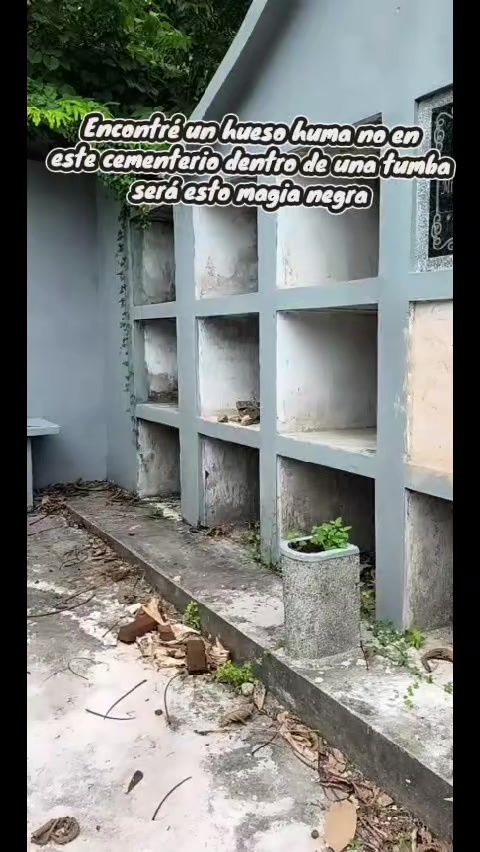 @🐺Dylan Urbex 502 🇬🇹🇧🇷👻