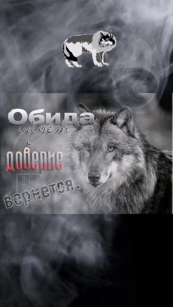 @✸Димон_Волк✸