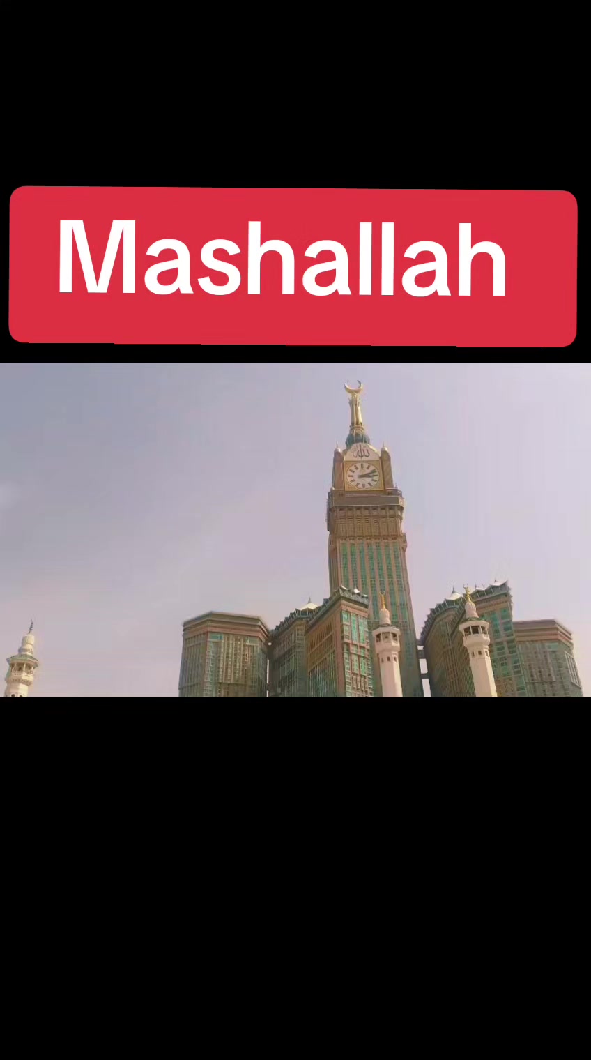 @➳ᴹᴿ᭄Sudia Aly Mayo🇸🇦🇸🇦
