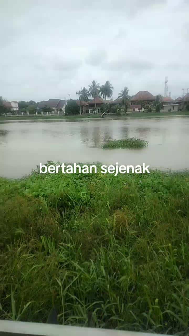 @faisal jaelani