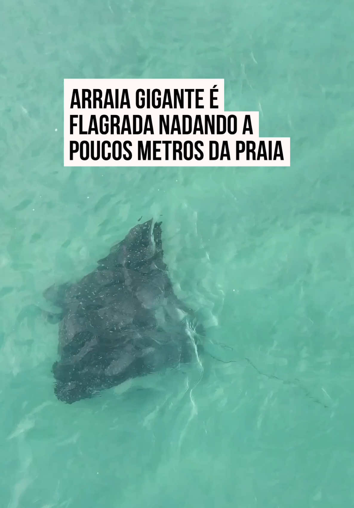 @Metr&oacute;poles Oficial