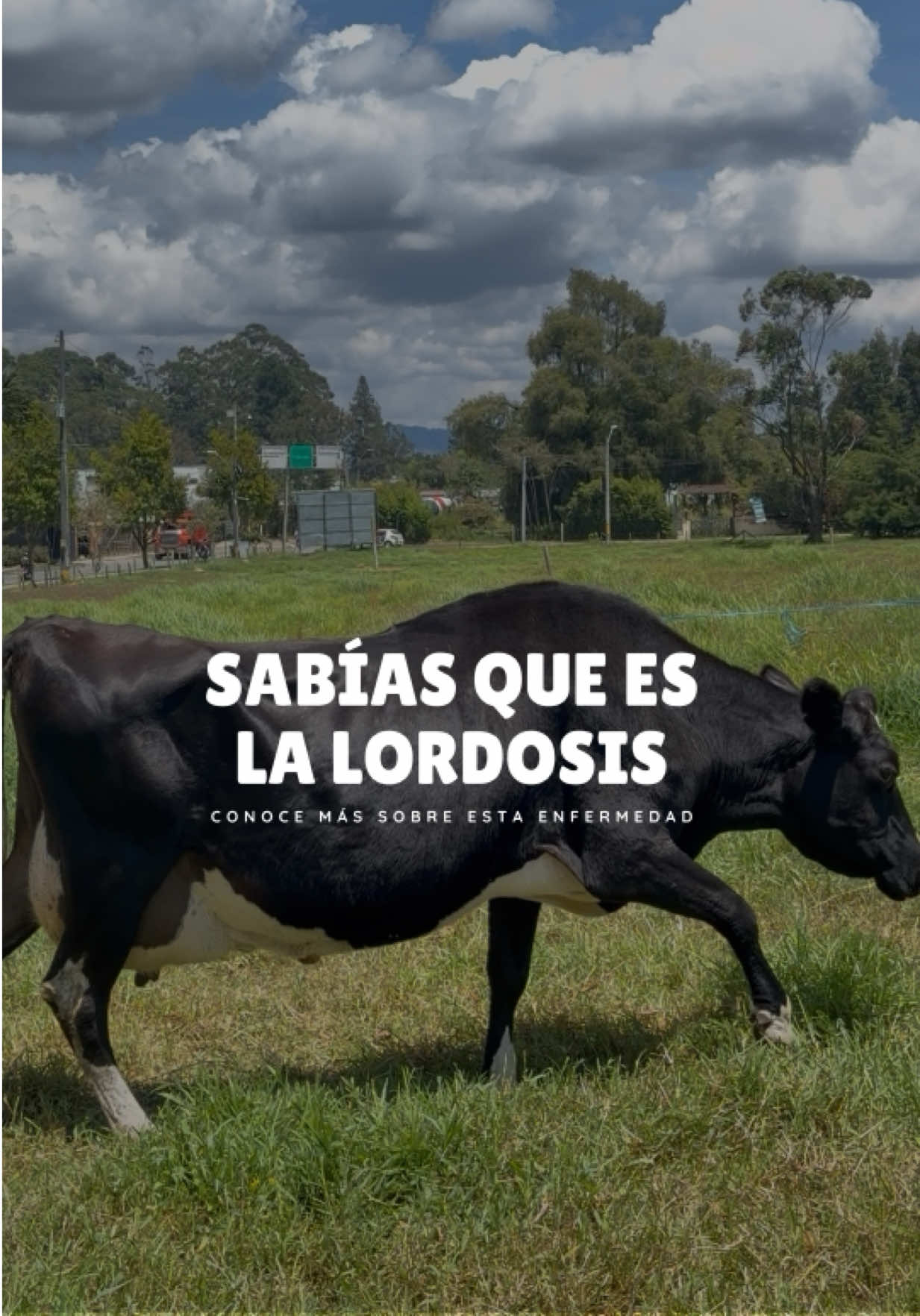 @Rehagronegocios
