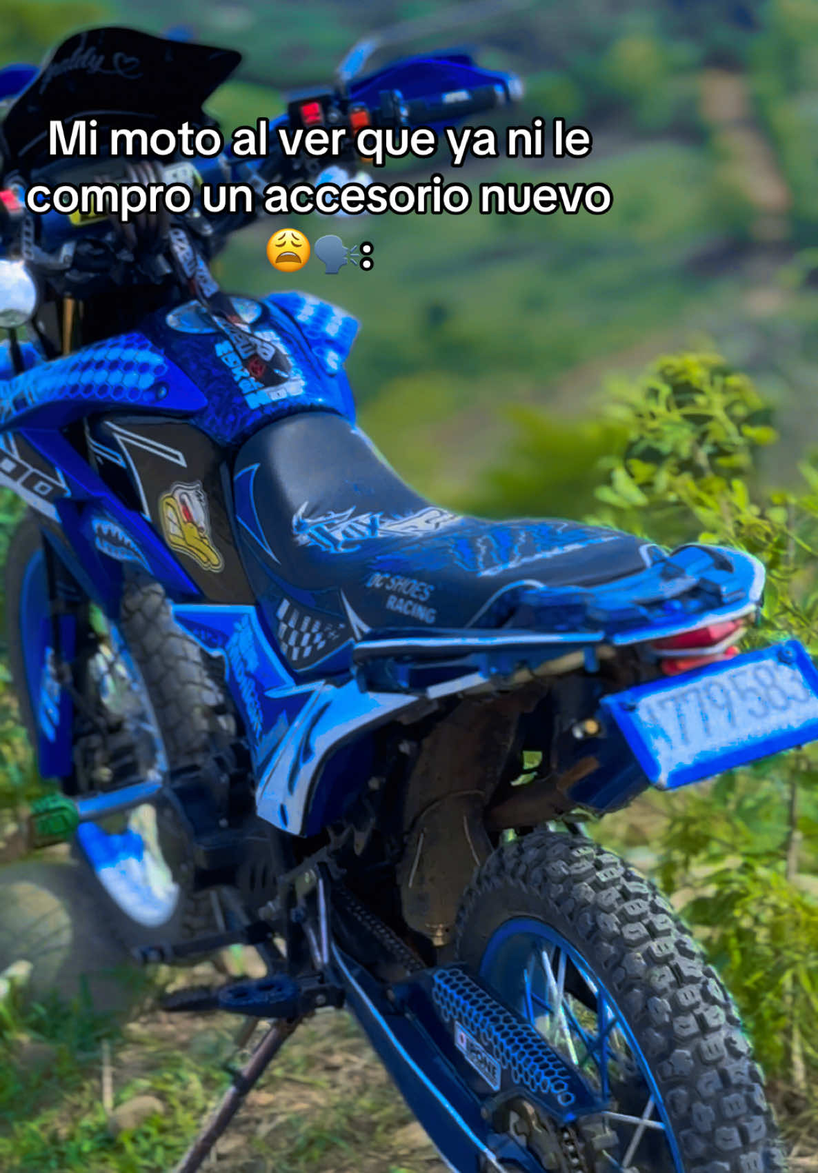 @Adiel V&aacute;squez🫧