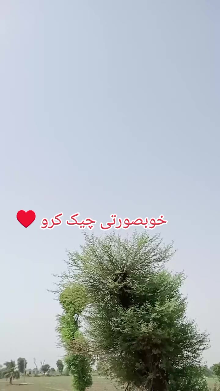 @Muslim video