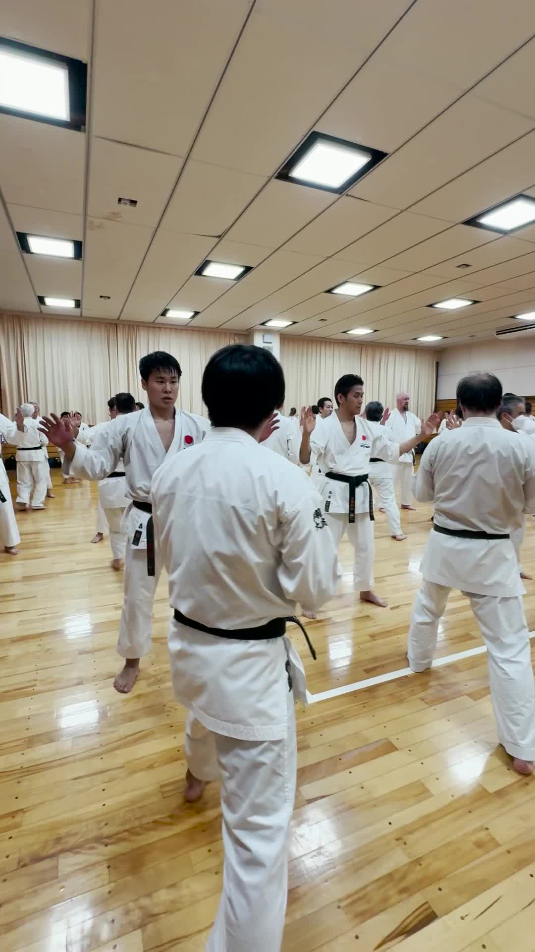 @kuro-obi world