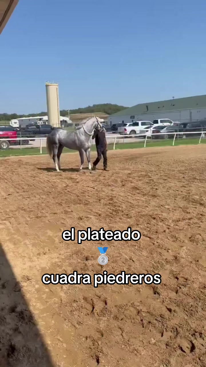 @carriles altos de jalisco🐎