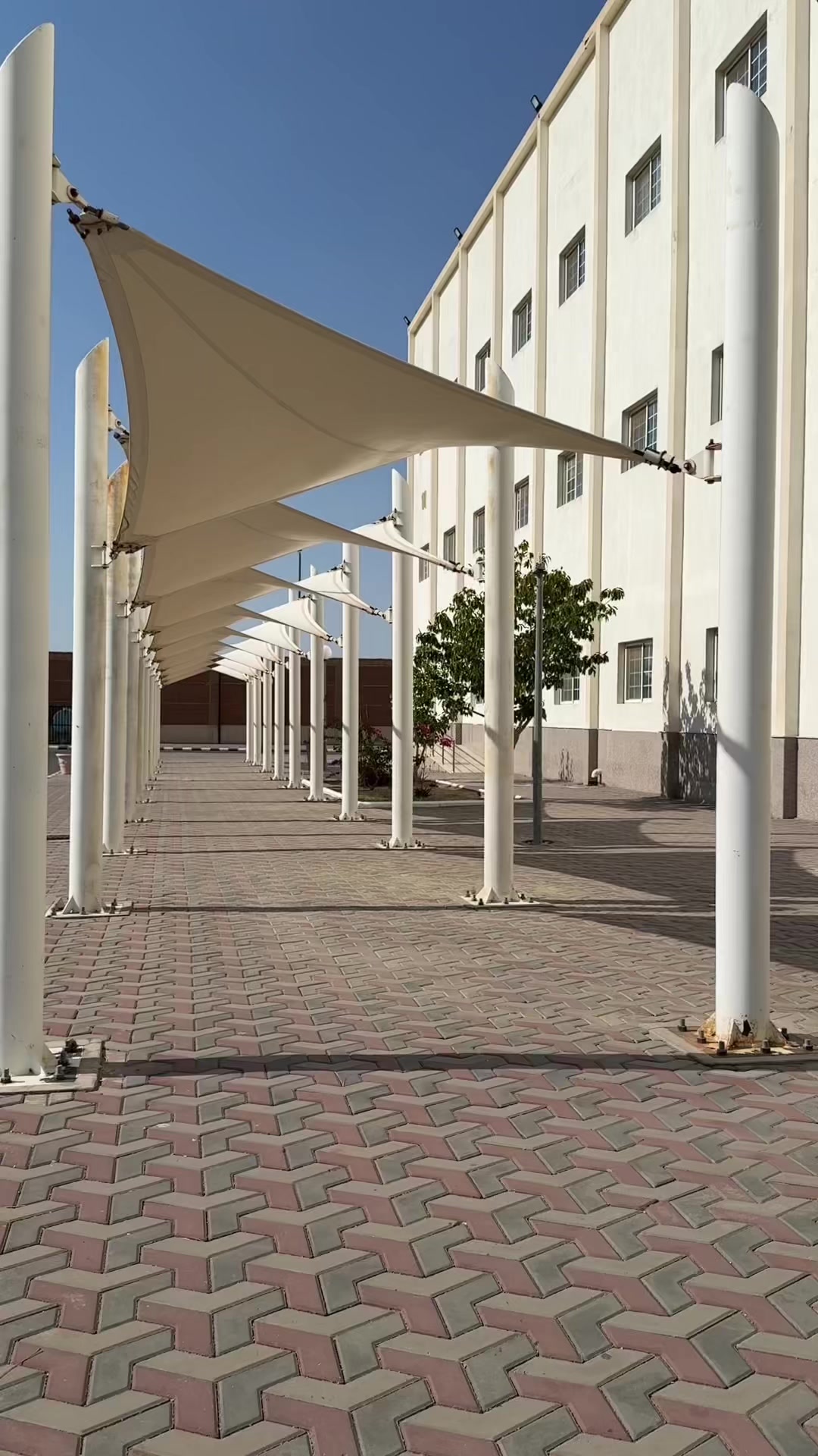 @المصورة | طيف العتيبي 🪄