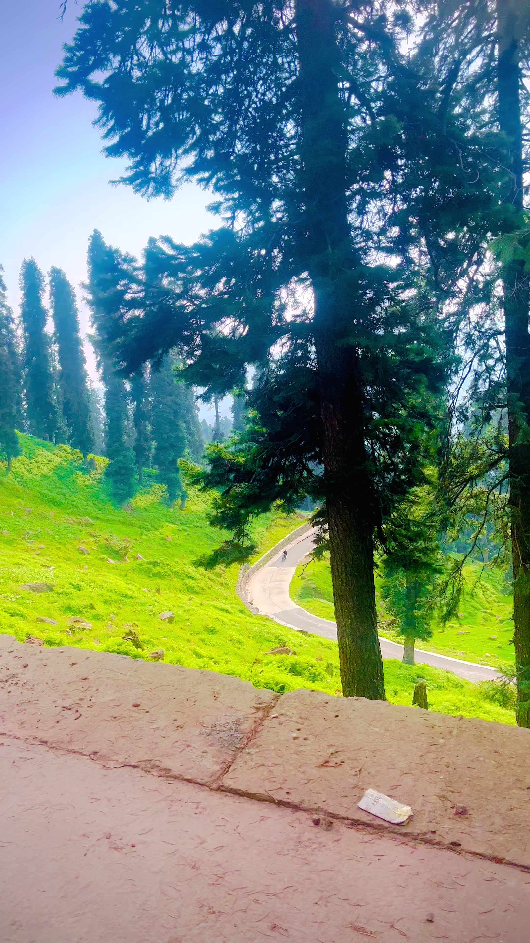 @Kashmir Valley ♥️
