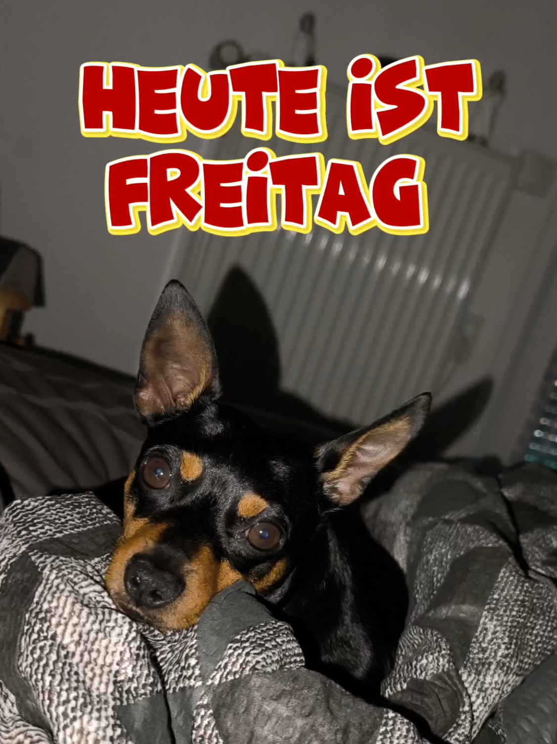 @ICH BIN'S