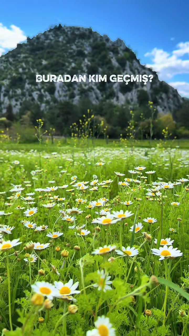@Bizadanaliyik