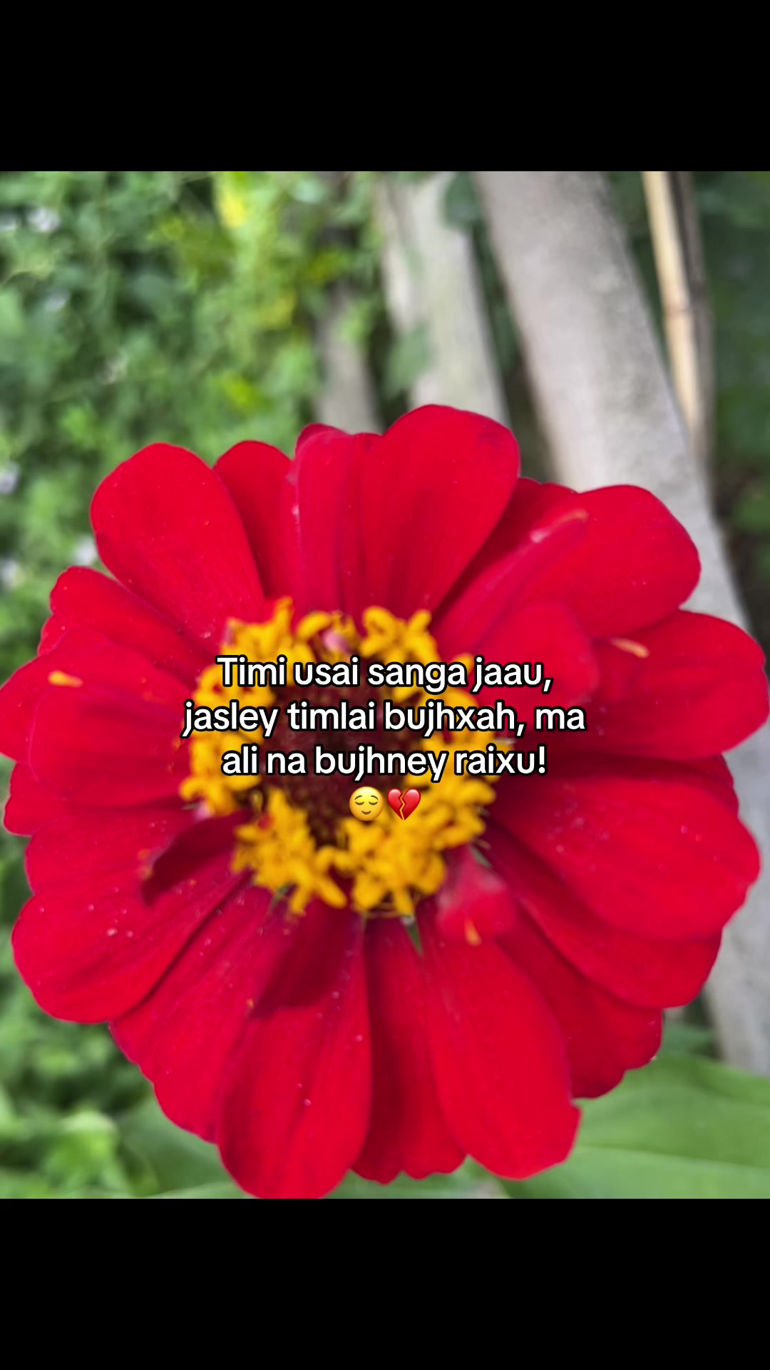 @Rohiteyyy