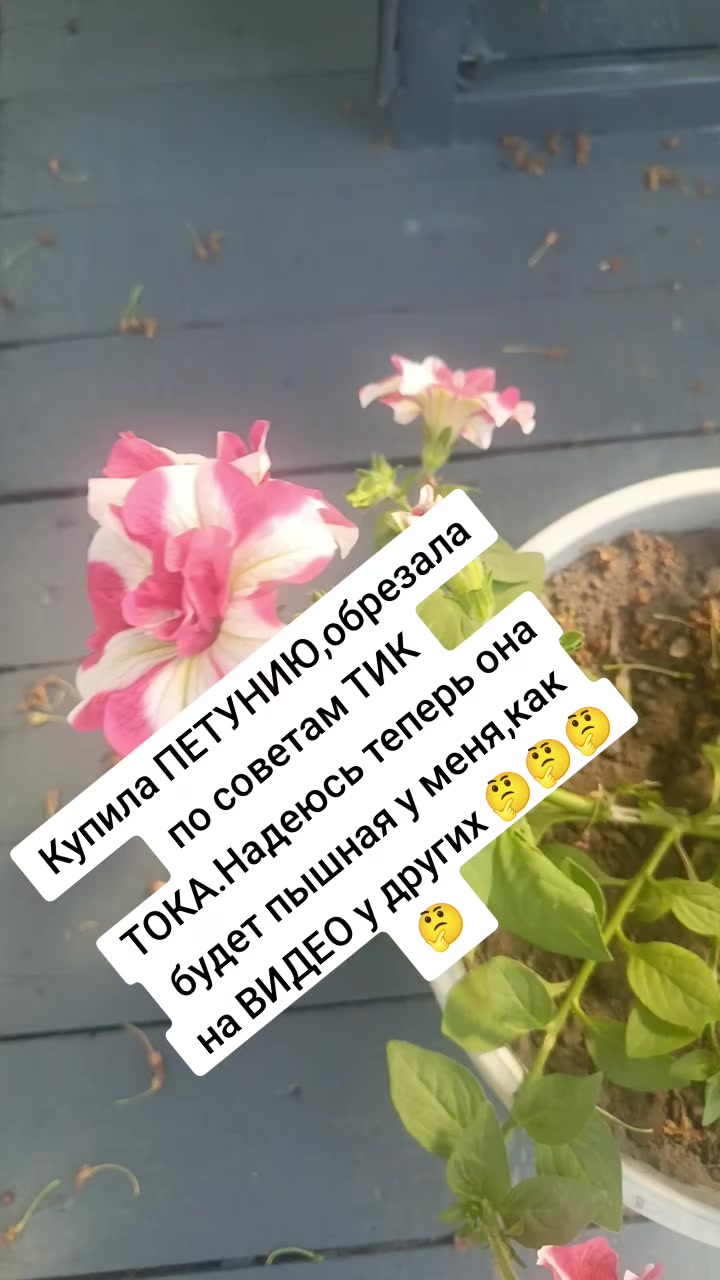 @Оленька