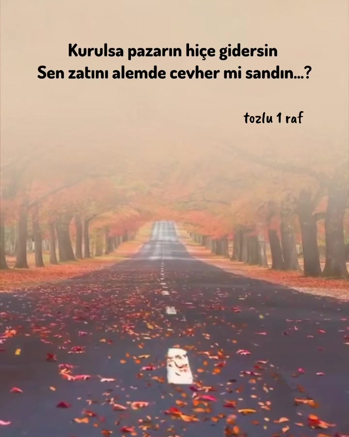 @tozlu1raf_