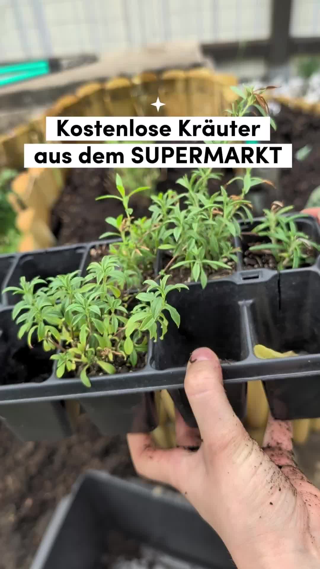 @ErnteExperte