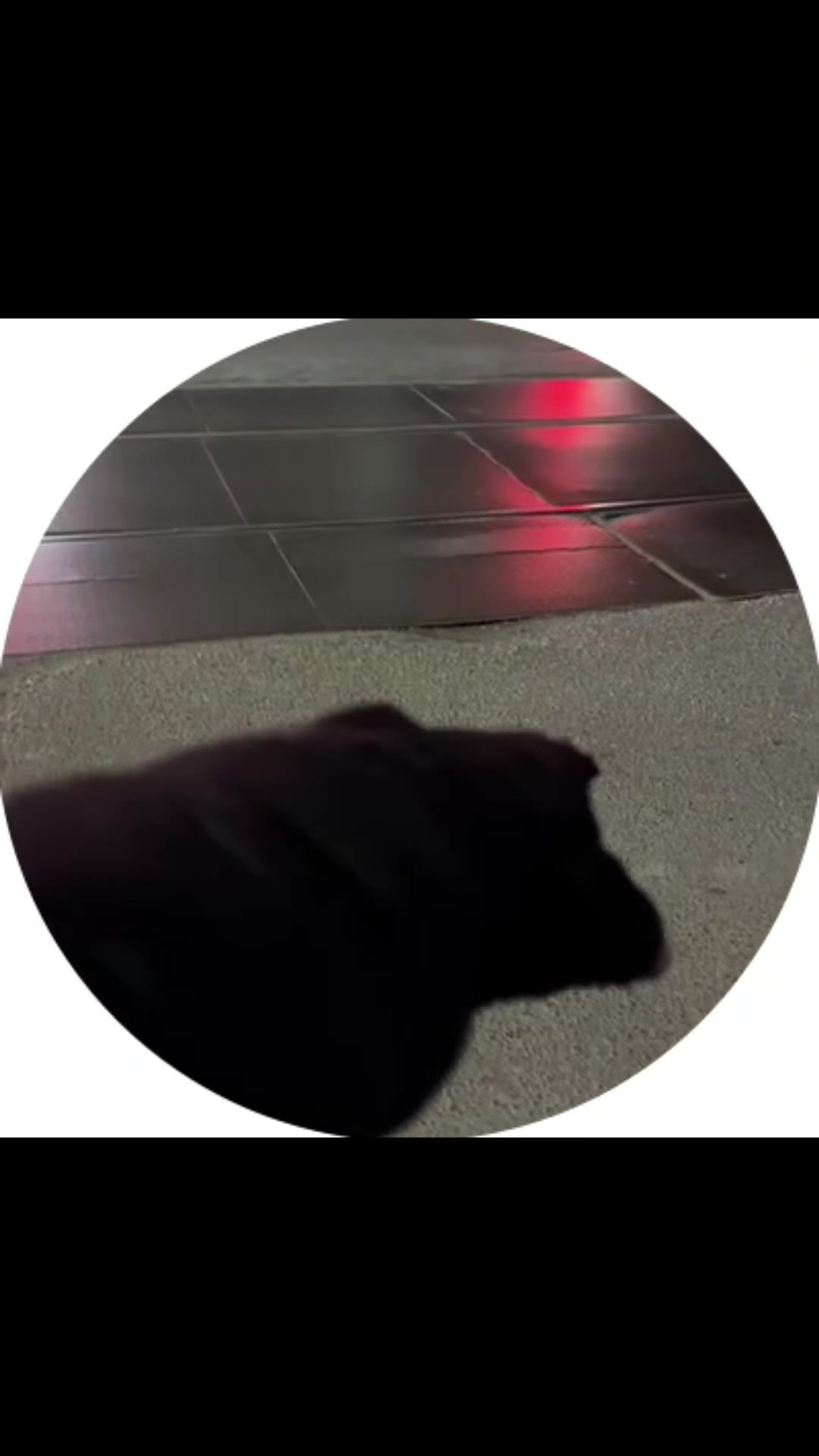 @synchron1q
