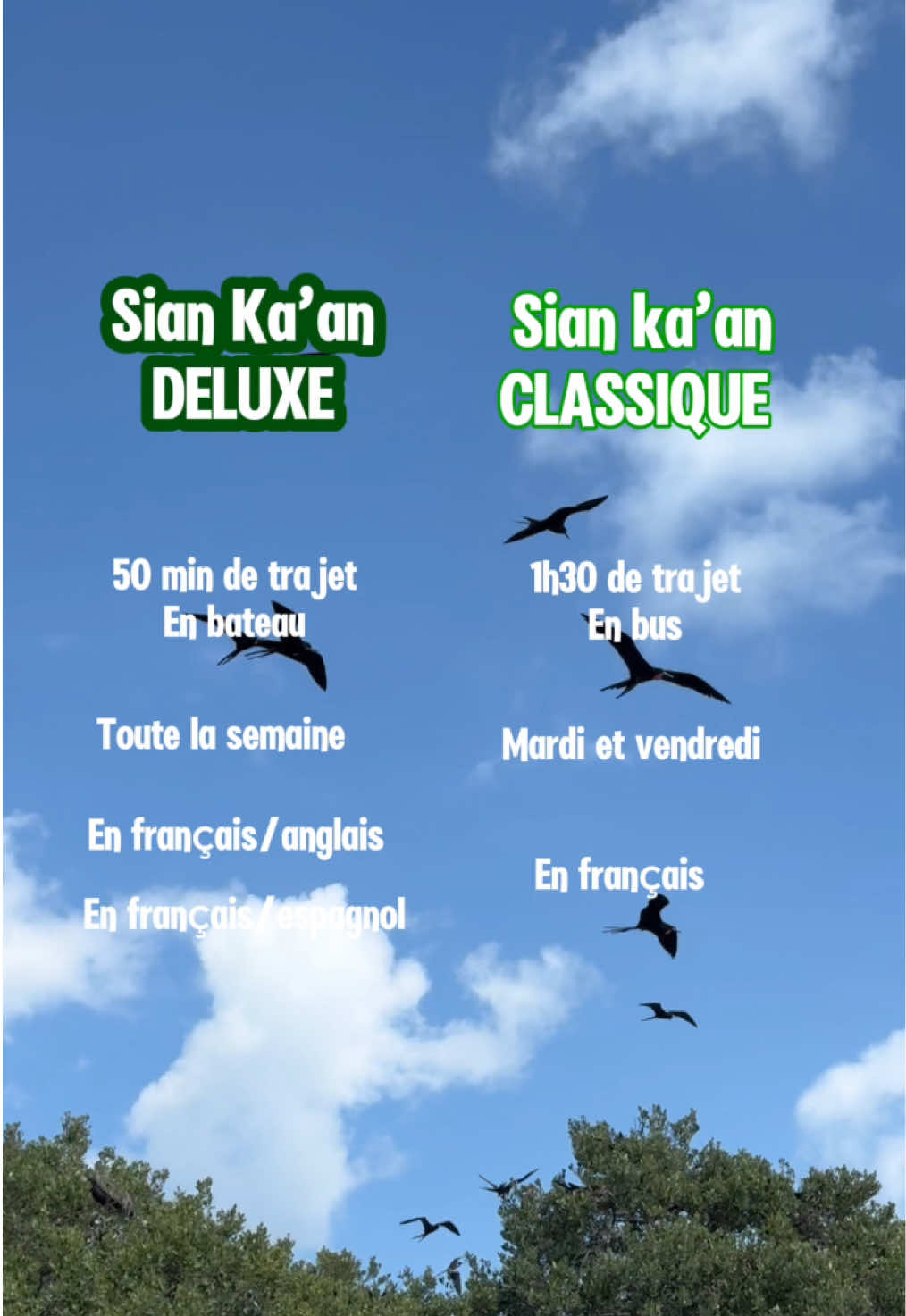 @xamanexperience