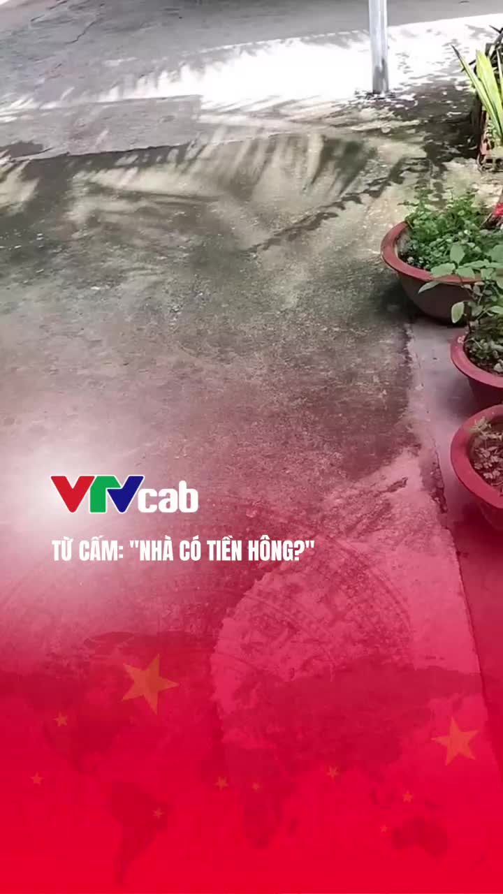 @Tin tức 24h - Giải trí