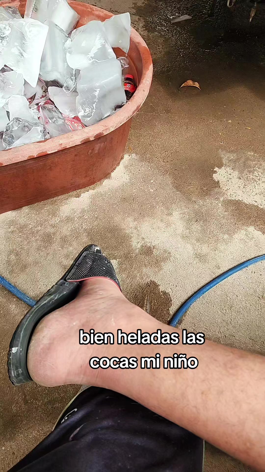 @elp0Rt4DoR12