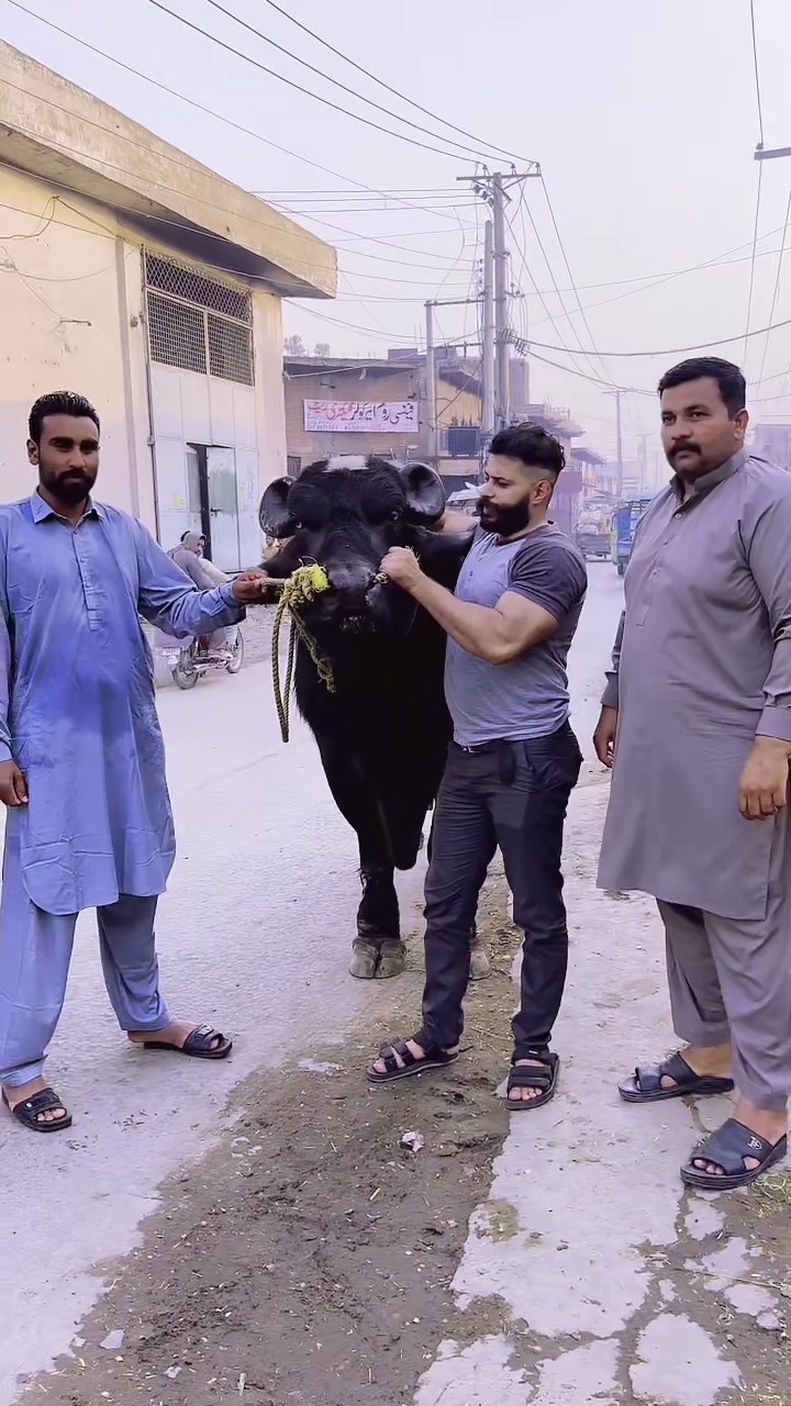 @ch junaid mehar