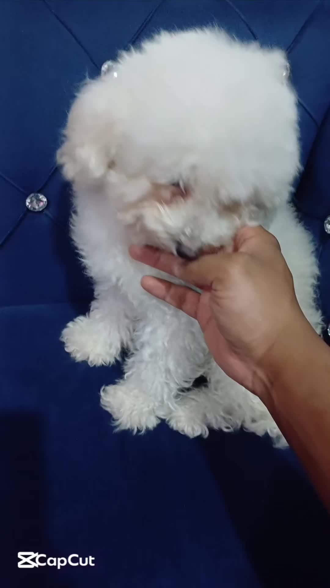 @Ar_styles_rao ๐ธ๐ฌ๐ฒ๐พ๐ฉ๐ช