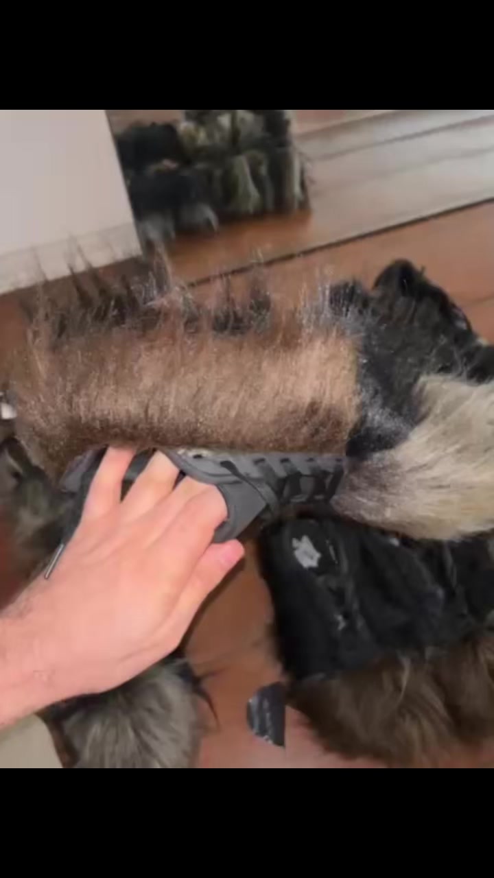 @AnuroAnuro