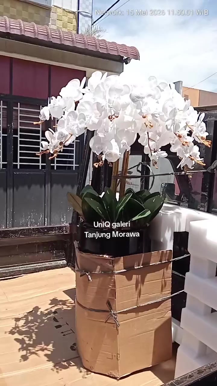 @uniqgaleri
