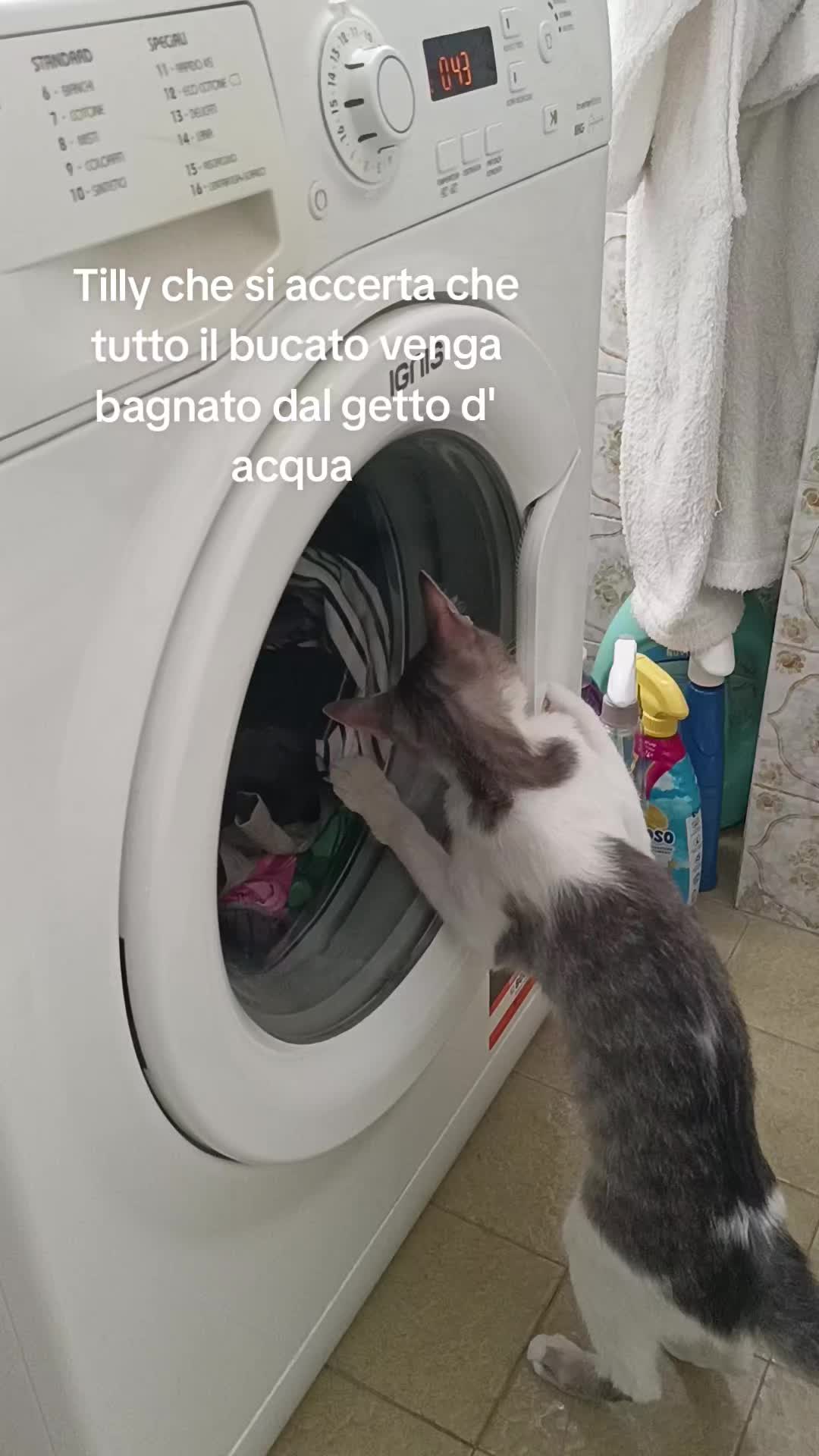 @Alessandra Frau
