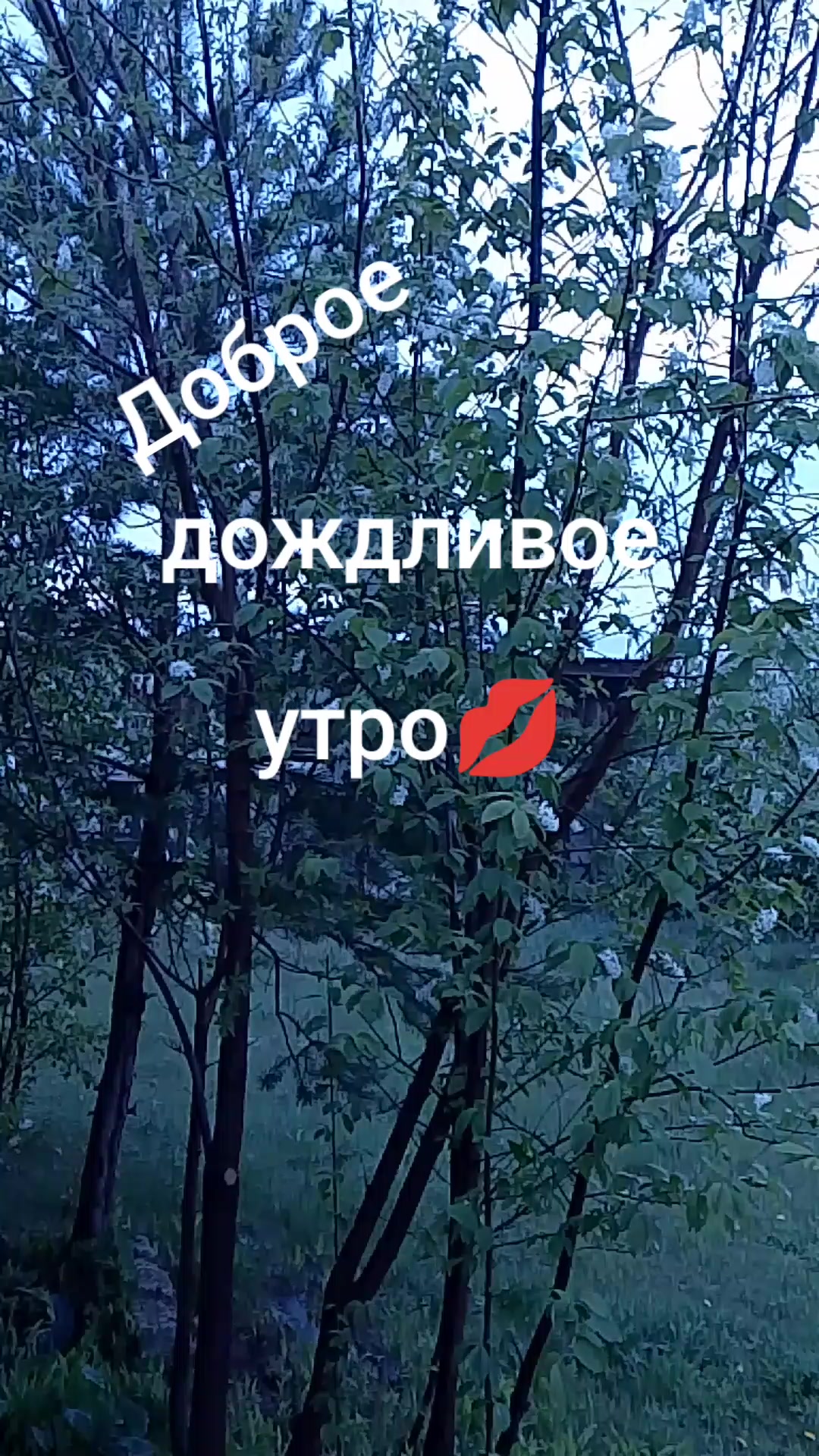@Valentina.