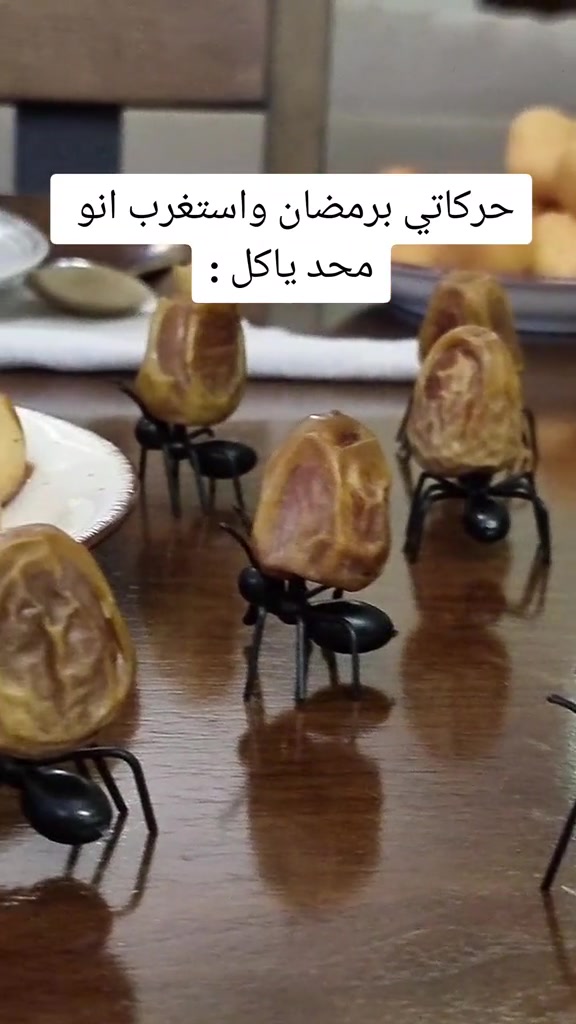 @Hadeel Aloslani