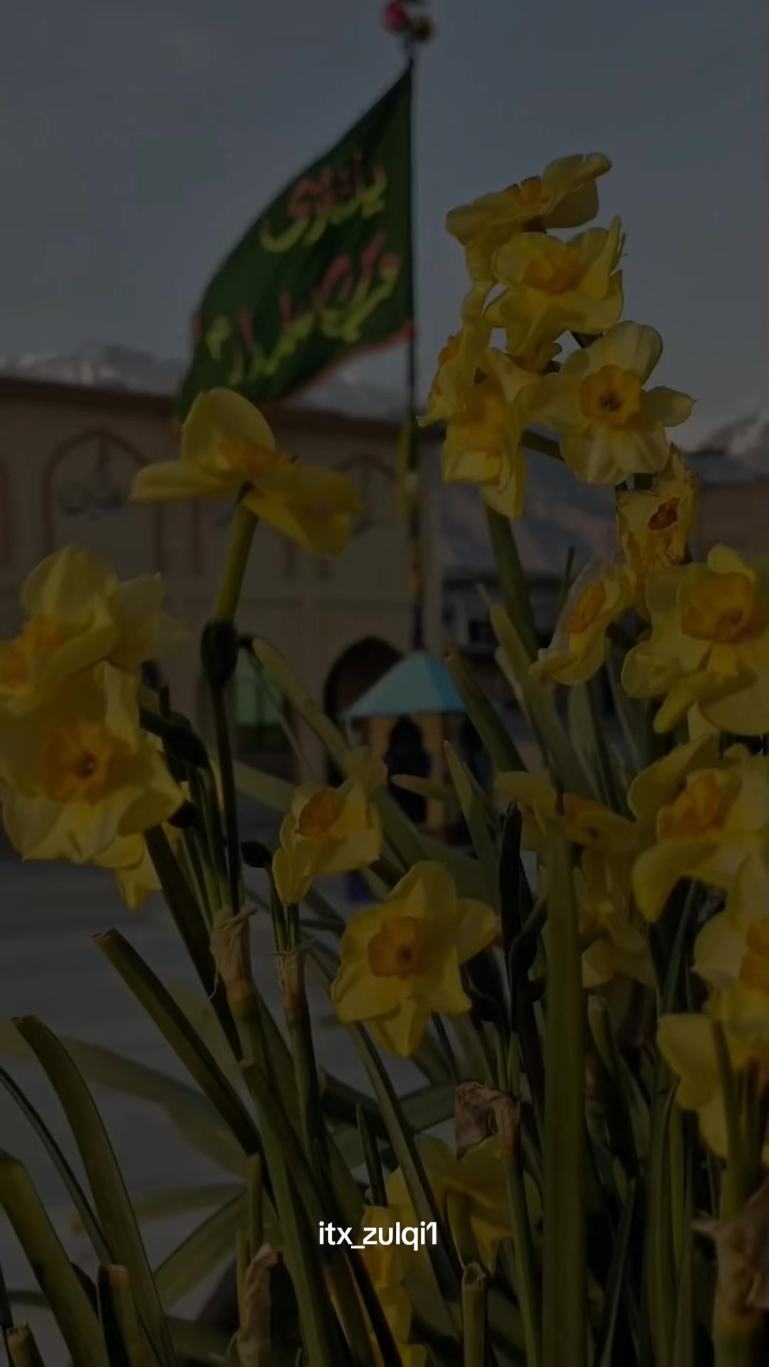 @𝘂𝗿𝗳𝘃𝘁._.𝘇𝘂𝗹𝗾𝗶🩺