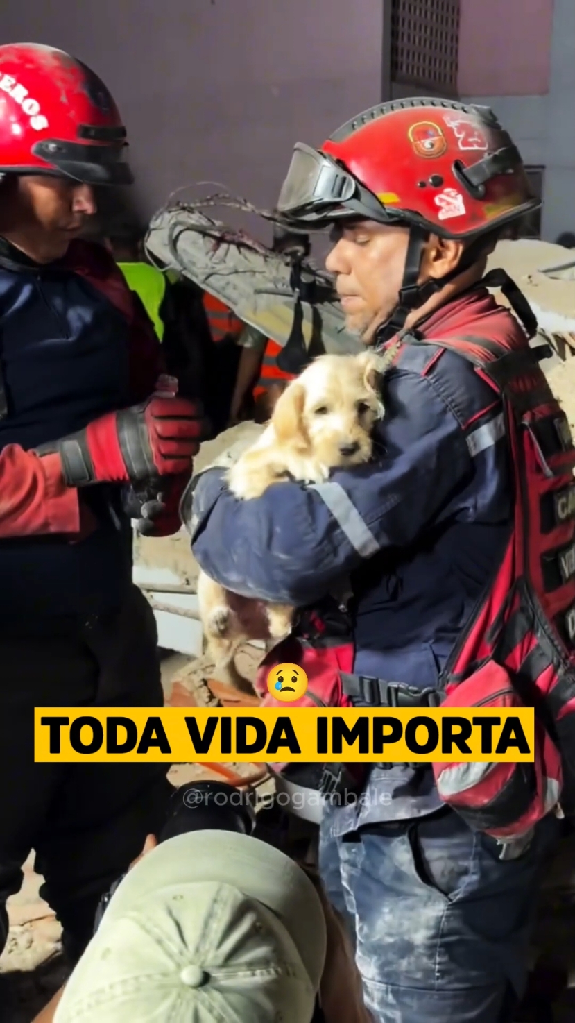 @Rodrigo Gambale